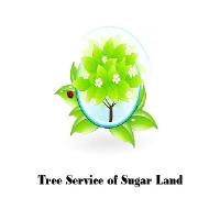 Tree Service of Sugar Land image 1